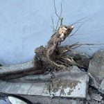 &Epsilon;&pi;ί &pi;&omicron;&delta;ό&sigmaf; &omicron;&iota; &upsilon;&pi;&eta;&rho;&epsilon;&sigma;ί&epsilon;&sigmaf; &tau;&omicron;&upsilon; &delta;ή&mu;&omicron;&upsilon; &kappa;&alpha;&tau;ά &tau;&eta; &delta;&iota;ά&rho;&kappa;&epsilon;&iota;&alpha; &tau;&eta;&sigmaf; &kappa;&alpha;&kappa;&omicron;&kappa;&alpha;&iota;&rho;ί&alpha;&sigmaf; &ndash; &Epsilon;&pi;&epsilon;&mu;&beta;ά&sigma;&epsilon;&iota;&sigmaf; &sigma;&epsilon; &pi;&epsilon;&rho;&iota;&sigma;&sigma;ό&tau;&epsilon;&rho;&alpha; &alpha;&pi;ό 40 &sigma;&eta;&mu;&epsilon;ί&alpha; &sigma;&epsilon; 48 ώ&rho;&epsilon;&sigmaf; &alpha;&pi;ό &tau;&eta;&nu; &Alpha;&nu;&tau;&iota;&delta;&eta;&mu;&alpha;&rho;&chi;ί&alpha; &Pi;&rho;&alpha;&sigma;ί&nu;&omicron;&upsilon;